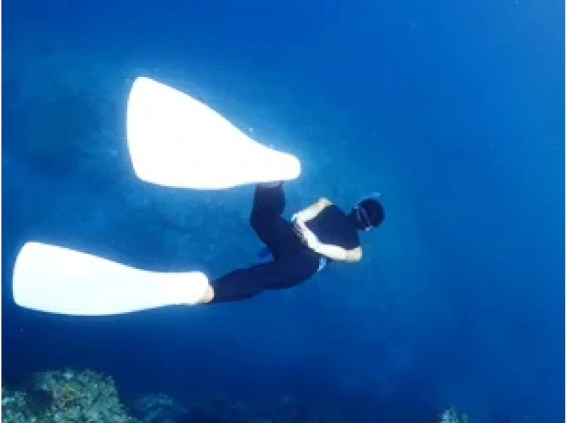 【沖縄・石垣島】水中を自由に泳ぐスキンダイビング（素潜り）講習！半日で気軽に参加OK♪の紹介画像