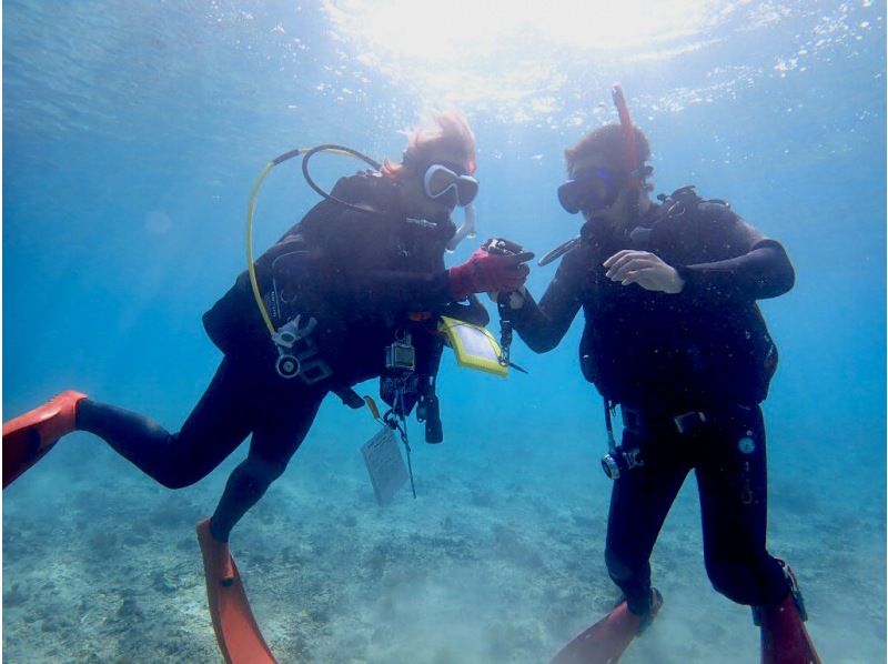 [Ishigaki Island] AOW shortest 1.5 days! PADI Advanced Open Water Diver Course (C-card acquisition)の紹介画像