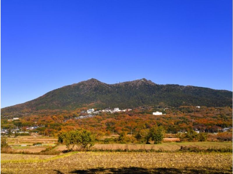 大人気！道の駅常総といばらぎフラワーパーク幻想的な夜のバラ園ライトアップバスツアー【029029‐867】の紹介画像