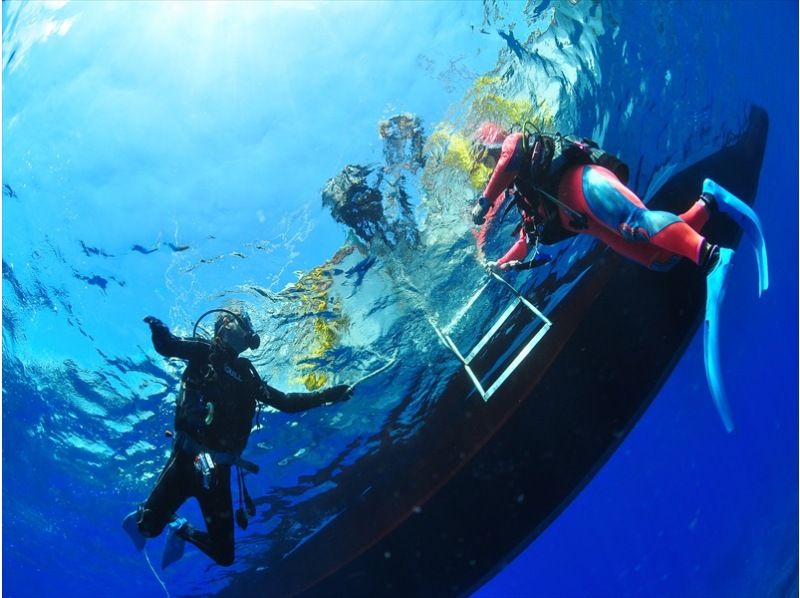[ 东京在-神津岛村深潜 ]享受神津岛村的海从船上2风扇潜水！の紹介画像