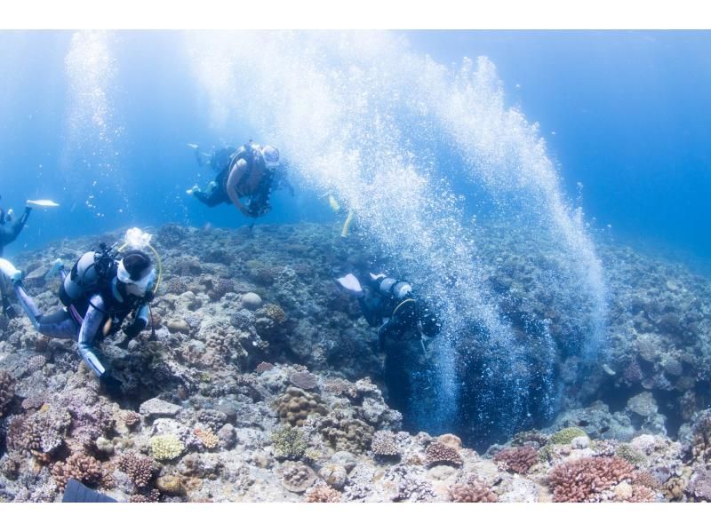 [沖繩萬座] 帶著裝備和 GoPro 進行萬座粉絲潛水の紹介画像