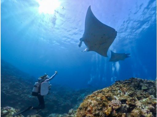【沖縄・石垣島】マンタ半日シュノーケリング《防水カメラレンタル無料》 【沖縄・石垣島】マンタ半日シュノーケリング《防水カメラレンタル無料》