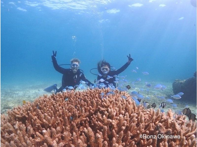 【오키나와・나하발】PADI 오픈 워터 다이버 취득 코스の紹介画像