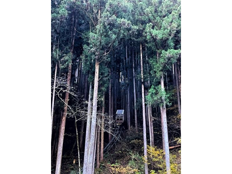 [To an old house in the sky] A tour to visit an old house in the sky by mountain monorail deep in Hinode Village, Tokyoの紹介画像