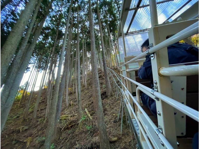 【天空の古民家へ】東京・檜原村の奥深く 山岳モノレールで天空の古民家を訪ねるツアーの紹介画像