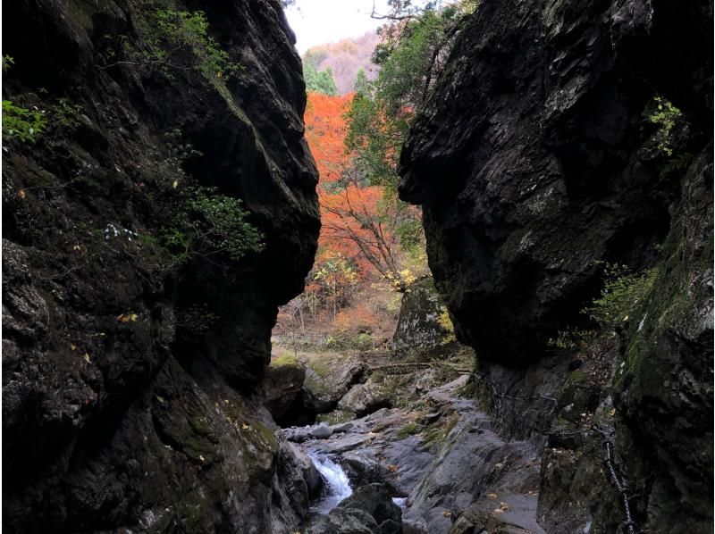 [To an old house in the sky] A tour to visit an old house in the sky by mountain monorail deep in Hinode Village, Tokyoの紹介画像