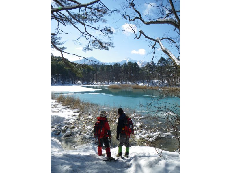 【福島県・裏磐梯高原】全ての沼を巡る五色沼ジオツアーの紹介画像