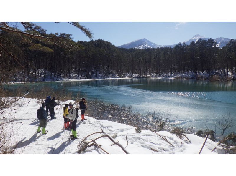 【福島県・裏磐梯高原】「ちょこシュー」で五色沼映えスポットをお手軽ツアーの紹介画像