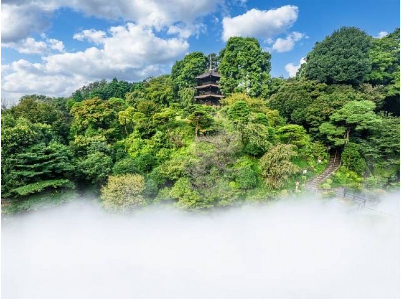 【東京】ゆったり楽しむ江戸三大庭園の紅葉&東京雲海に包まれるホテル椿山荘東京庭園と石焼料理付バスツアー【029029-1463】の紹介画像