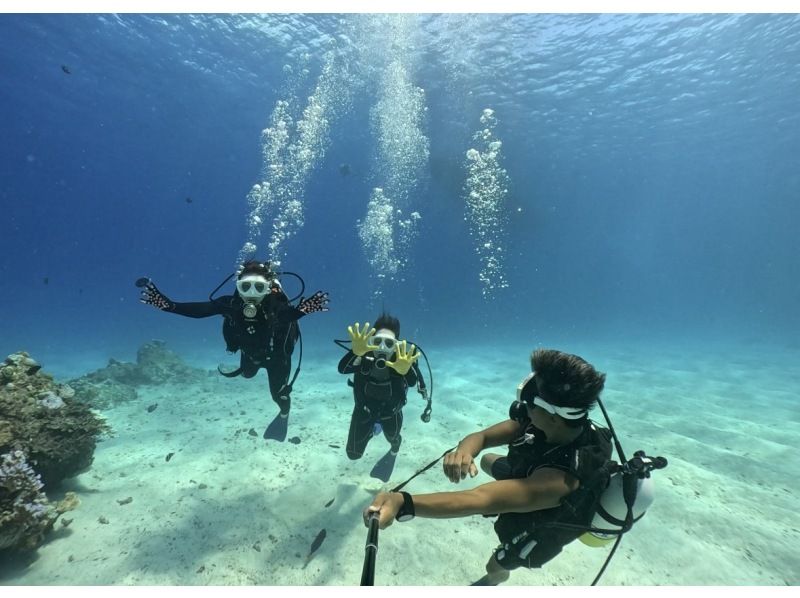 【沖縄北部・体験ダイビング】美ら海水族館近く｜水納島・瀬底島｜完全貸切ガイド｜初心者歓迎｜透明度抜群サンゴ礁の紹介画像