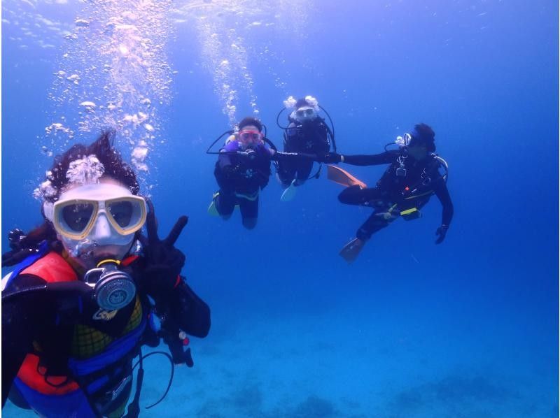 【沖縄本島北部・水納島・瀬底島・体験ダイビング】混雑皆無の極上ポイント！初めての方大歓迎！１グループにベテランガイド貸切の紹介画像