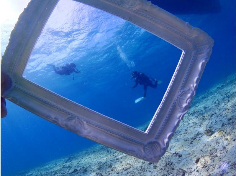 【沖縄本島北部・水納島・瀬底島・体験ダイビング】混雑皆無の極上ポイント！初めての方大歓迎！１グループにベテランガイド貸切の紹介画像