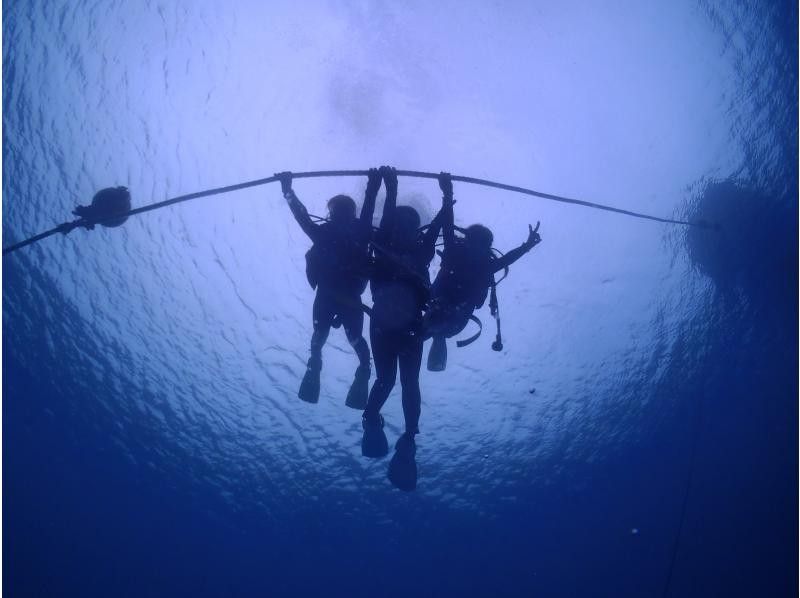 【沖縄北部・体験ダイビング】美ら海水族館近く｜水納島・瀬底島｜完全貸切ガイド｜初心者歓迎｜透明度抜群サンゴ礁の紹介画像
