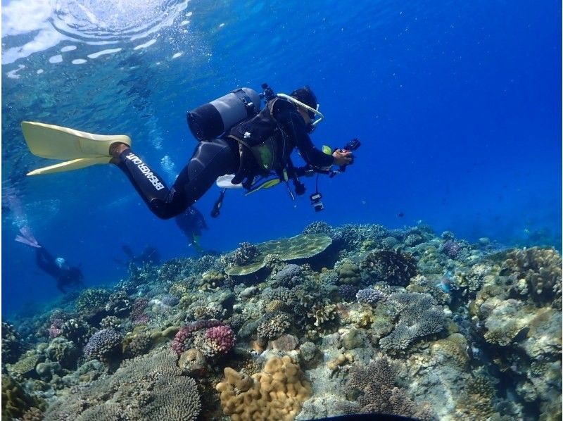 【沖縄北部・体験ダイビング】美ら海水族館近く｜水納島・瀬底島｜完全貸切ガイド｜初心者歓迎｜透明度抜群サンゴ礁の紹介画像