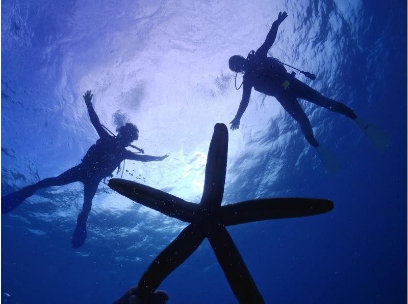 【沖縄北部・体験ダイビング】美ら海水族館近く｜水納島・瀬底島｜完全貸切ガイド｜初心者歓迎｜透明度抜群サンゴ礁の紹介画像