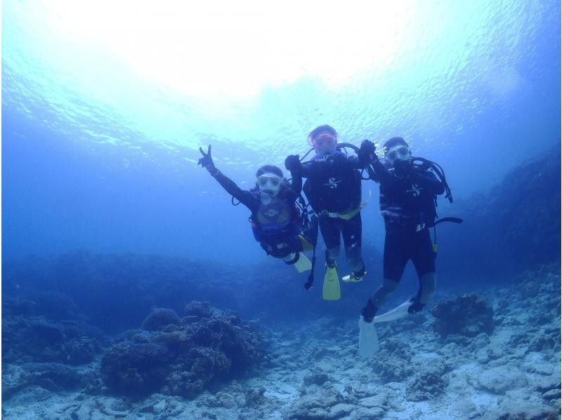 【沖縄北部・体験ダイビング】美ら海水族館近く｜水納島・瀬底島｜完全貸切ガイド｜初心者歓迎｜透明度抜群サンゴ礁の紹介画像