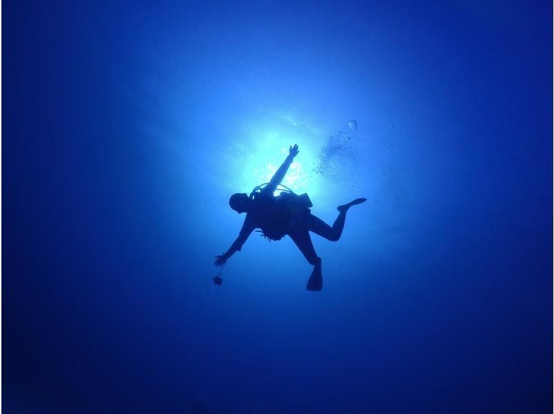 【沖縄本島北部・水納島・瀬底島・体験ダイビング】混雑皆無の極上ポイント！初めての方大歓迎！１グループにベテランガイド貸切の紹介画像