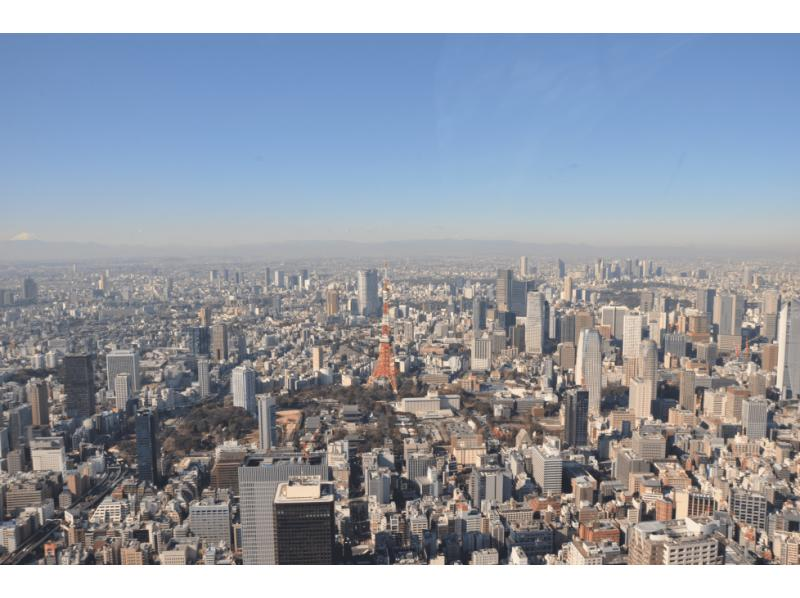 【東京・新木場】プロポーズ特化 夜景満喫ヘリコプター遊覧の紹介画像