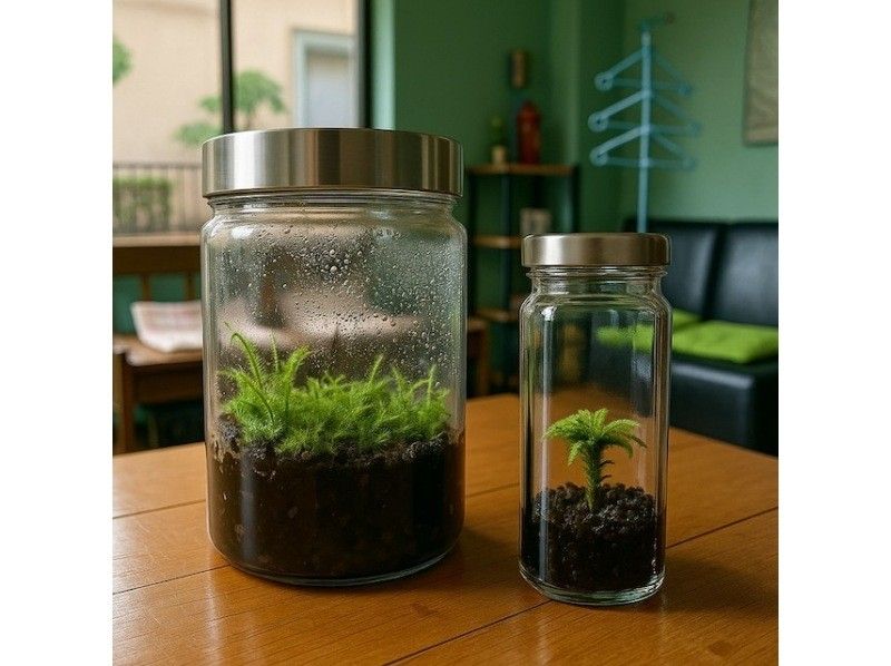 【京都・長岡京】苔テラリウム　制作体験　親子で　家族で　車いすの方も　ワークショップ　雨の日もOK!!　の紹介画像