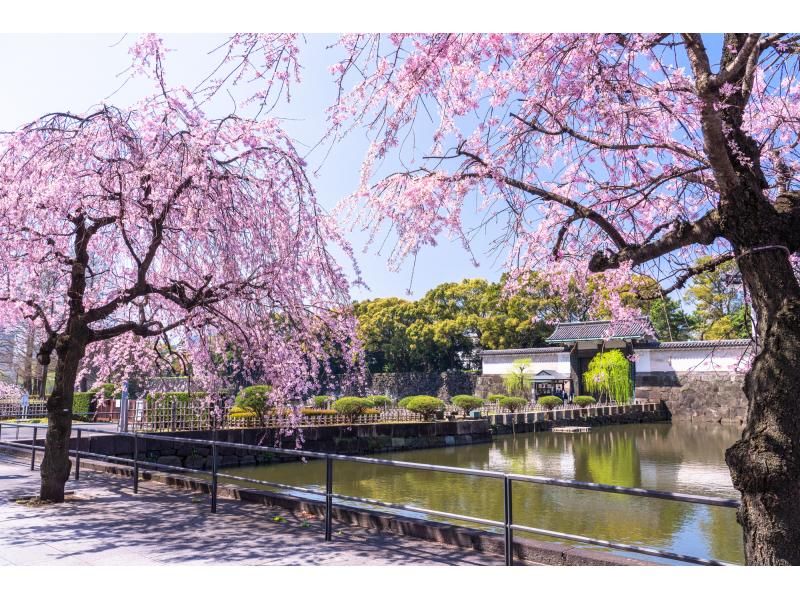 [Tokyo, Chiyoda Ward] Private walking tour of the Imperial Palace and East Gardensの紹介画像