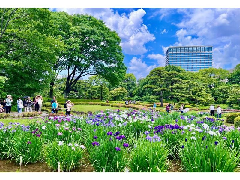 [Tokyo, Chiyoda Ward] Private walking tour of the Imperial Palace and East Gardensの紹介画像