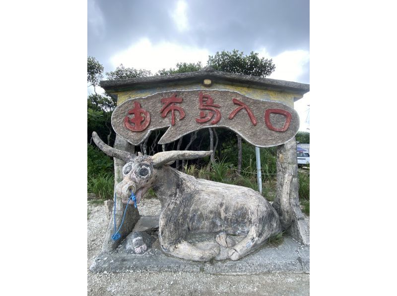 [Iriomote Island/1 day] Nakama River mangrove canoe & Yubu Island sightseeing Experience tour that adults and children can enjoy togetherの紹介画像