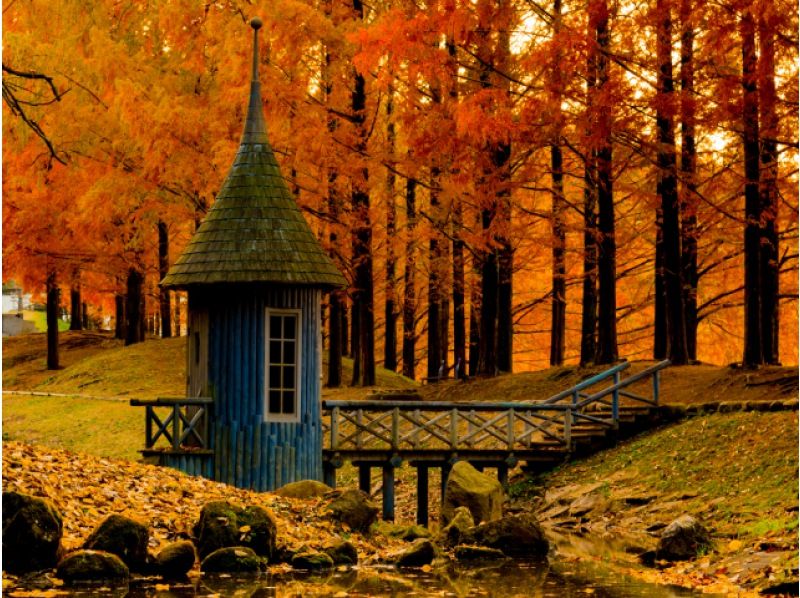 【東京発・埼玉】ムーミン谷のクリスマス&湖上花火&北欧紅葉メタセコイア観賞バスツアー【029029-1478】の紹介画像