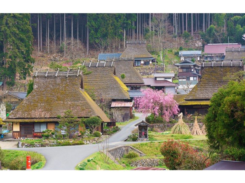 Amanohashidate & Ine Funaya & Kyoto Gassho Village Miyama Thatched House Day Tour | From Osakaの紹介画像