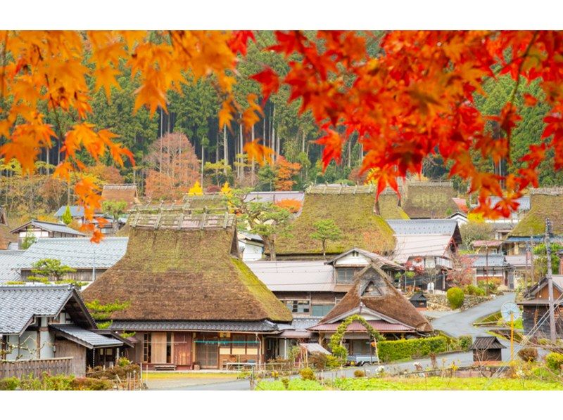 Amanohashidate & Ine Funaya & Kyoto Gassho Village Miyama Thatched House Day Tour | From Osakaの紹介画像