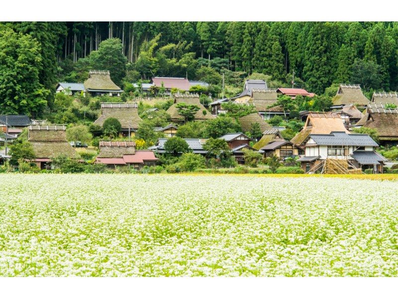 SALE! Amanohashidate & Ine Funaya & Kyoto Gassho Village Miyama Thatched House Day Tour | Departing from Osakaの紹介画像