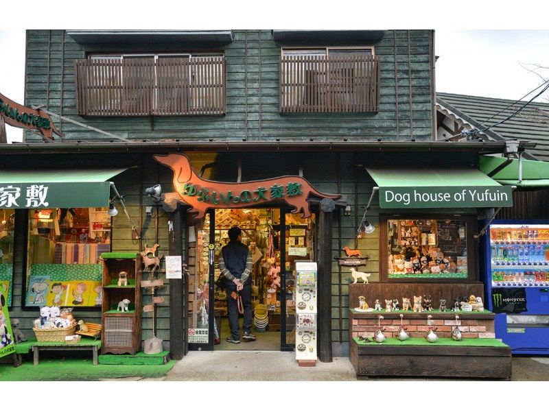 由布院・アフリカンサファリ 日帰りツアー（福岡発）の紹介画像