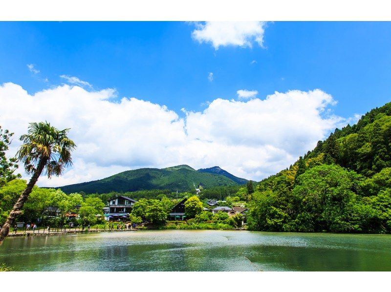 由布院・アフリカンサファリ 日帰りツアー（福岡発）の紹介画像