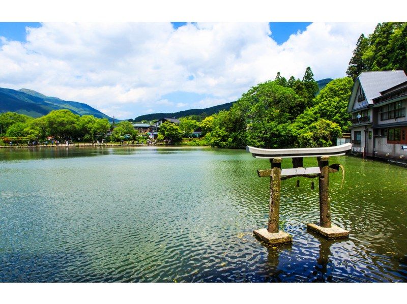 由布院・アフリカンサファリ 日帰りツアー（福岡発）の紹介画像