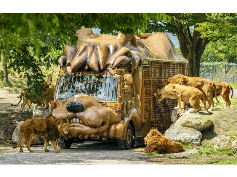 銷售！由布院非洲野生動物園一日遊（福岡出發）の紹介画像