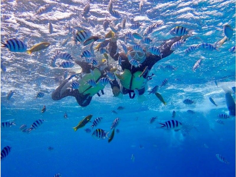 [Okinawa, Kerama] Suitable for ages 10 and up! Enjoy the Okinawan ocean with trial diving and snorkeling! Plus, a visit to Kuefu Island!の紹介画像