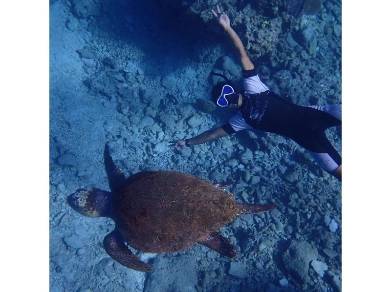 [Okinawa, Kerama] OK for ages 6 and up! Half-day snorkeling tour with a 20-minute trip to Kuefu Island on our own boat!の紹介画像