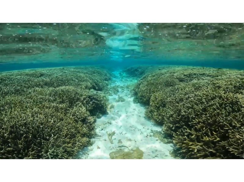【沖繩慶良間】「久富島專賣店！！」6歲以上皆可入場！前往久富島的唯一通道，搭乘本公司的船隻20分鐘即可抵達！半日浮潛之旅♪の紹介画像