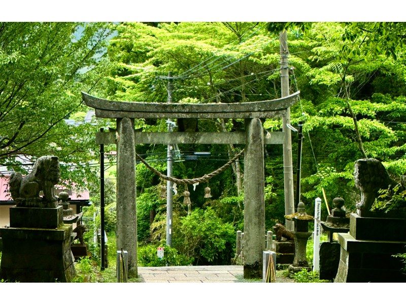 SALE! Kamishiki-kun Kumanoza and Amanoiwato Shrine Tour from Fukuokaの紹介画像