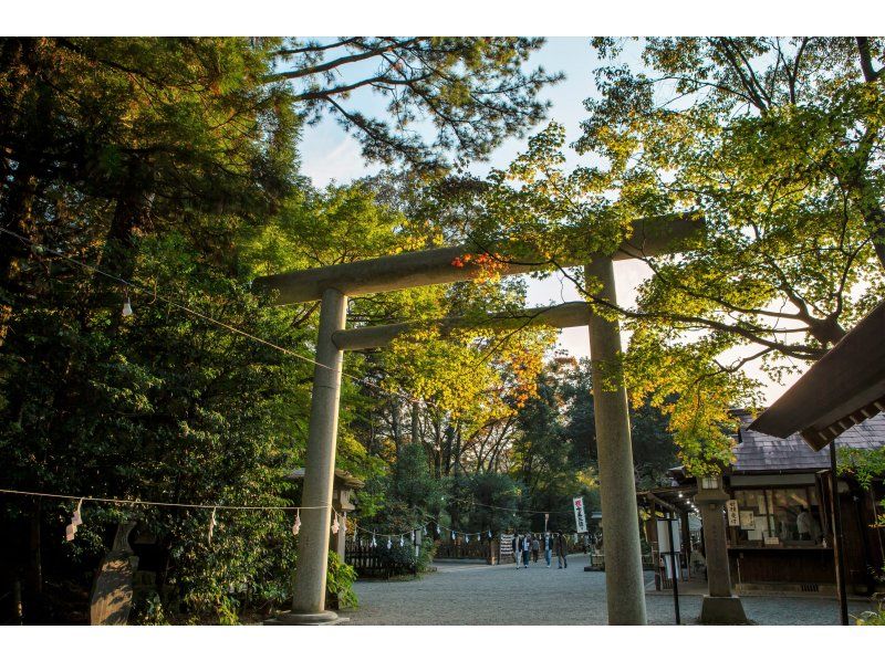 [Kyushu] Day trip to Jingu Shrine, Amanoiwato Shrine, and Takachiho Gorge | Departing from Fukuokaの紹介画像