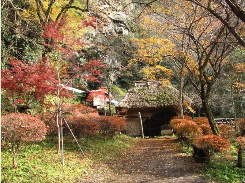 【九州】神城皇大神宮・天岩戸神社・高千穂峡日帰りツアー|福岡発の紹介画像