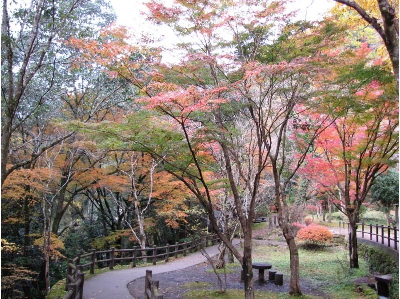 【九州】神代小體神社、天岩戶神社、高千穗峽一日遊 | 福岡出發の紹介画像