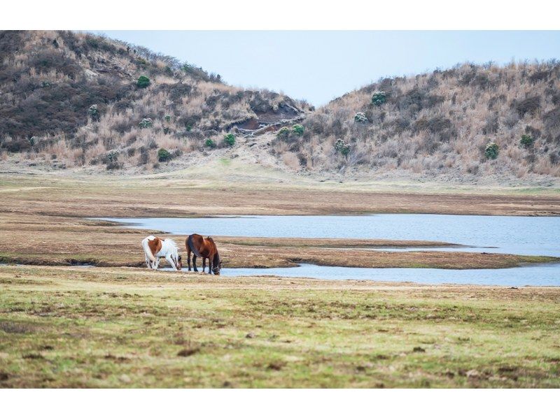 구마모토성 & 아소 화산 & 구천리 & 다자이후 텐만구, 구로카와 온천 당일치기 투어 (후쿠오카 출발)の紹介画像