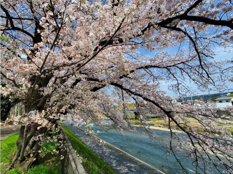 【京都】E-bikeレンタサイクル 高性能自転車で京都をストレスフリーで観光しよう！（Rental bicycle　in KYOTO）の紹介画像