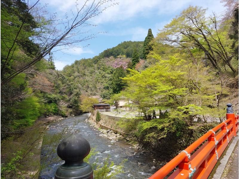 【교토】E-bike 렌터 사이클 고성능 자전거로 교토를 스트레스 프리로 관광하자! (Rental bicycle in KYOTO)の紹介画像