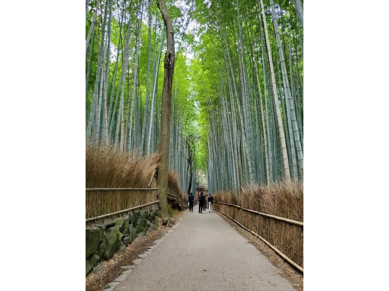 [Kyoto] E-bike rental bicycles: Enjoy a stress-free tour of Kyoto on a high-performance bicycle! (Rental bicycle in KYOTO)の紹介画像