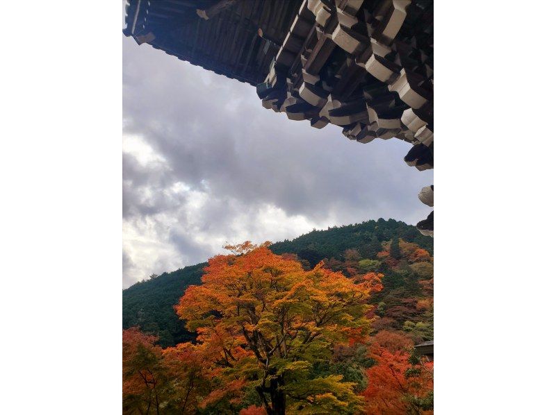 [Kyoto] E-bike rental bicycles: Enjoy a stress-free tour of Kyoto on a high-performance bicycle! (Rental bicycle in KYOTO)の紹介画像