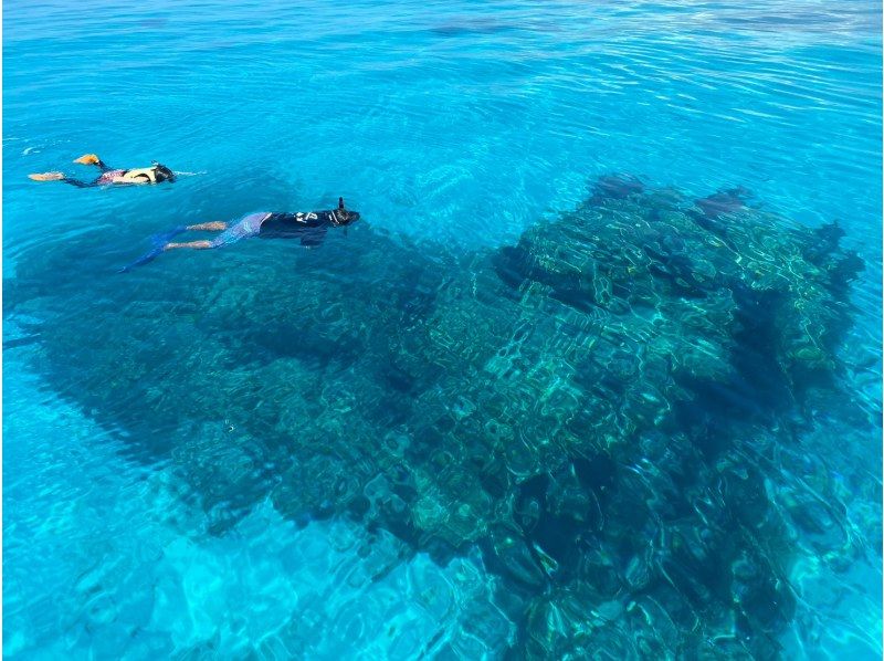 【石垣島/1日】シュノーケリングツアー　八重山の青い海で最高の体験を！　水中写真無料プレゼント☆　泳ぎが苦手なお客様も大歓迎‼の紹介画像