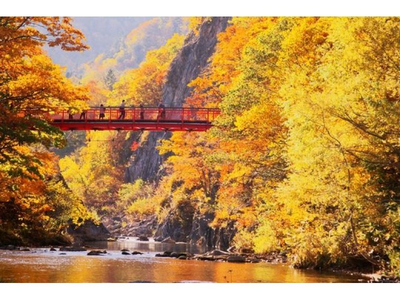 SALE! [Jozankei Onsen Sightseeing] Enjoy the autumn leaves! Tour the town of Jozankei freely with a chartered car! A dedicated guide will guide you ☆ A completely private tour that you can enjoy at your own pace!の紹介画像