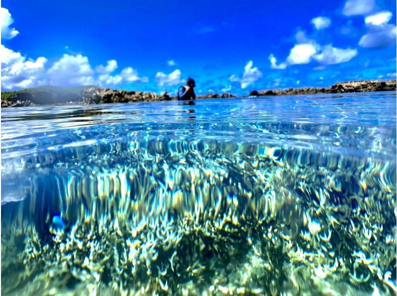 【沖縄・久米島】サンゴの森探検&シュノーケリング　陸からも水中からもサンゴを超至近距離で観察できる新感覚の探検ツアー　［現地集合プラン］の紹介画像