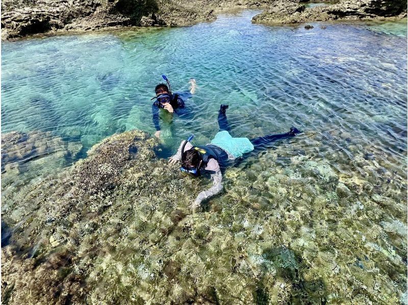 【沖縄・久米島】サンゴの森探検!! シュノーケリング&磯探検でサンゴの海を至近距離で体感　［現地集合プラン］の紹介画像